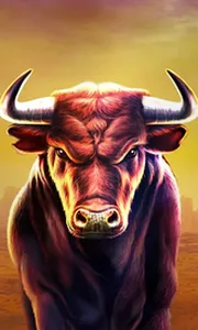 Black Bull